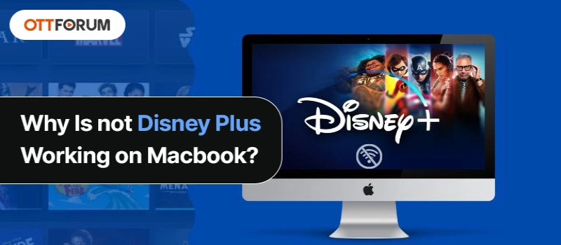 Why Is not Disney Plus Working on Macbook?